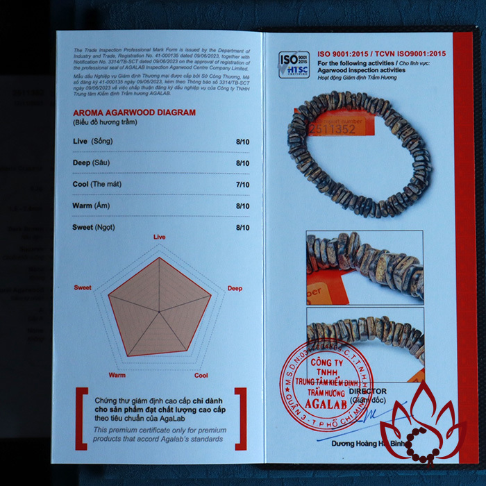 Vòng Trầm Hương Hạt Dẹp Vuông | 7 Ly | Trầm Bì Rễ Cận Chìm